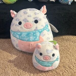 Pig squishmallow family!